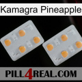 Kamagra Pineapple 25